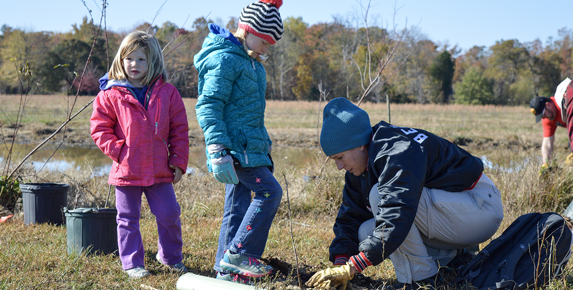 hollywood oyster planting-rebecca long-1171x593