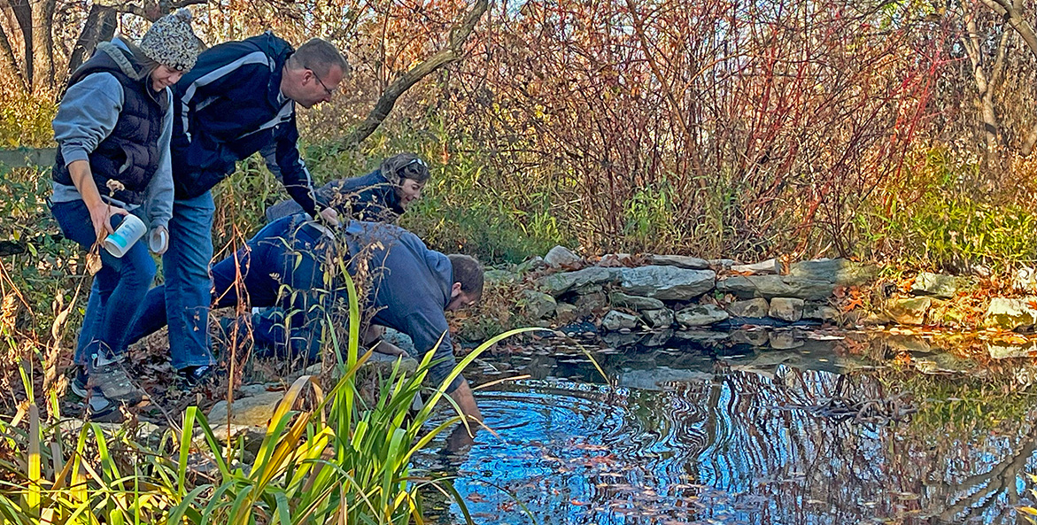 Four people lean over a pond while one person submerges a collection container into the water.