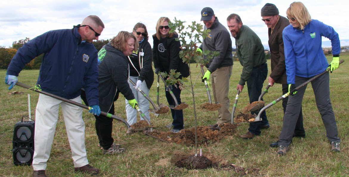 Several people with shovels placing dirt around a newly planted tree.