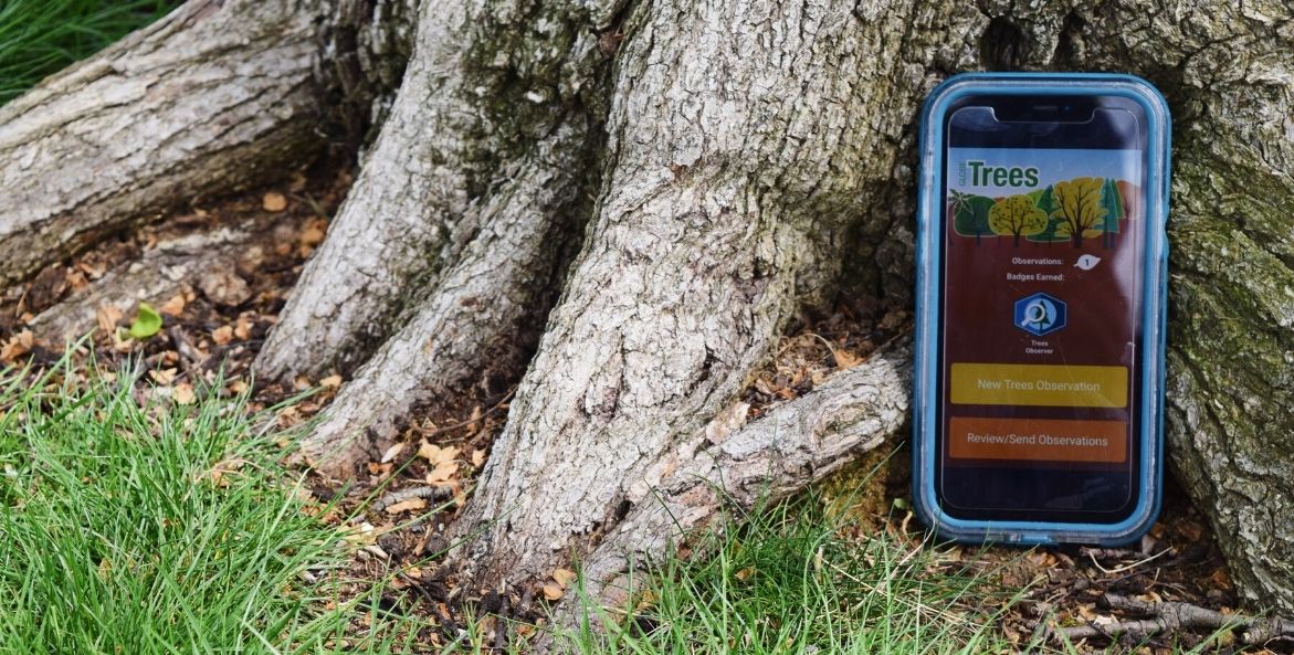 A smartphone in a blue protective case sits in the grass against a tree trunk. The phone's screen shows an app used to record tree measurements.