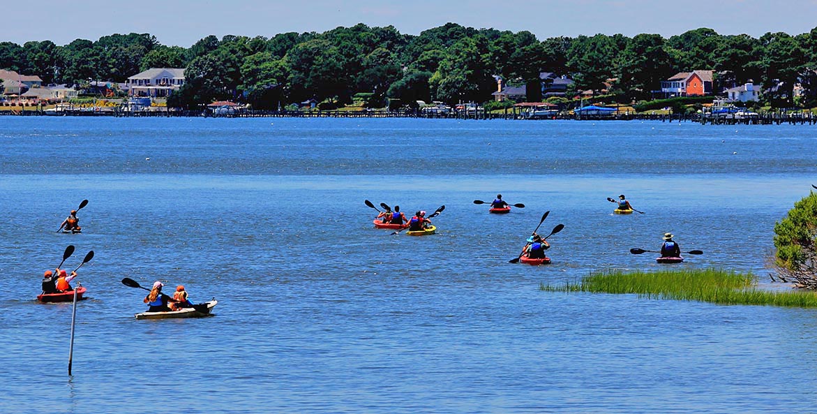 A group of kayakers enjoys a day on the water.