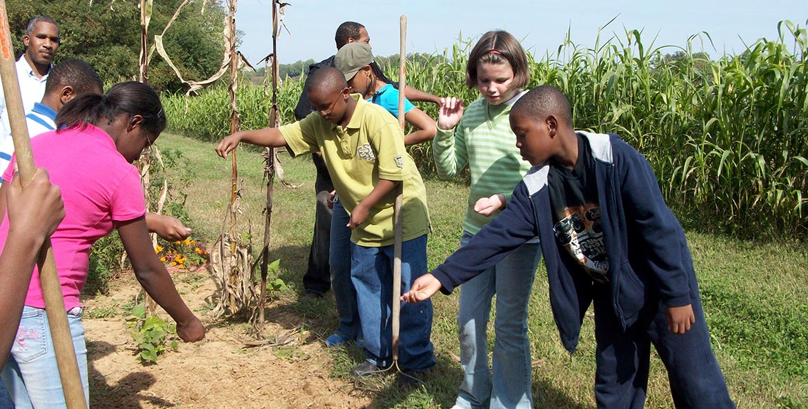 A group of children planting seeds on a farm.