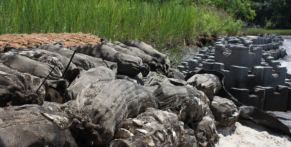 View along a shoreline showing a row of coconut fiber coir logs, three rows of oyster shell bags, and several rows of oyster castles in the background.