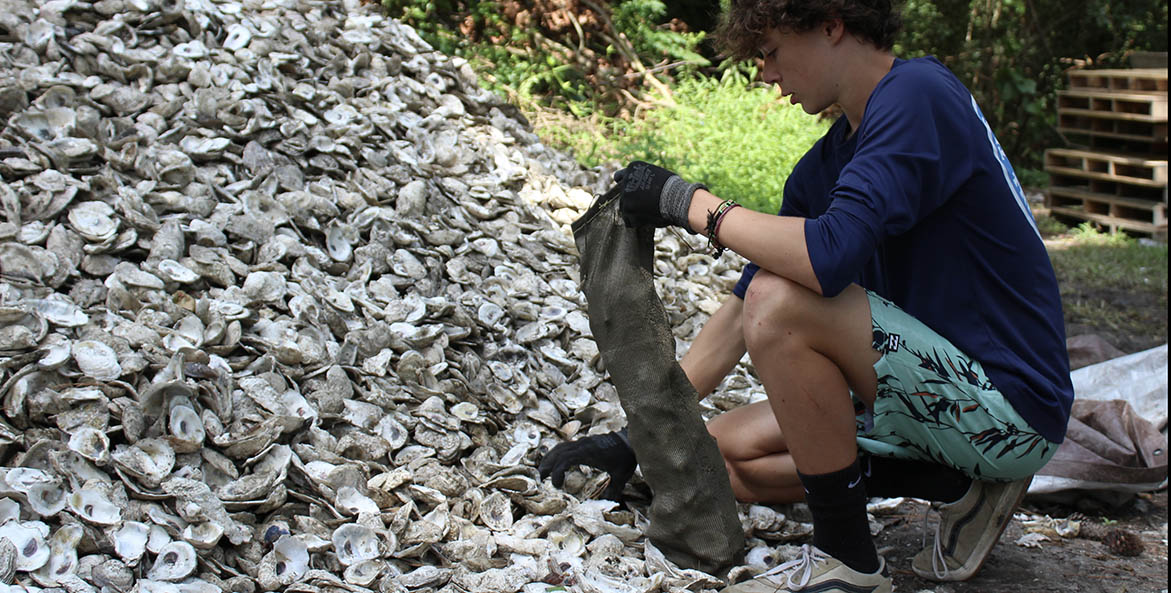 Teenager kneeling at the bottom of a large pile of oyster shells filling a bag.