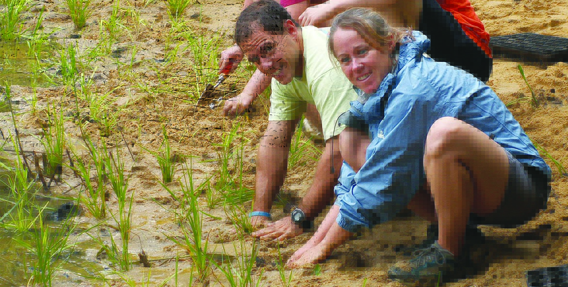A man and a woman plant grass plugs in the sand.
