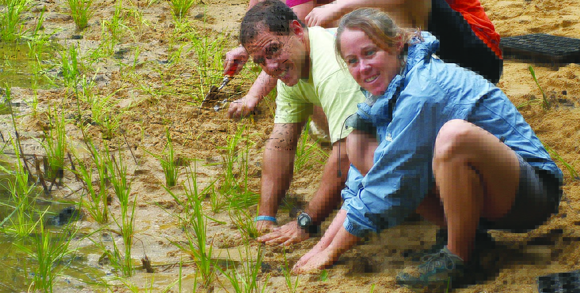 A man and a woman plant grass plugs in the sand.