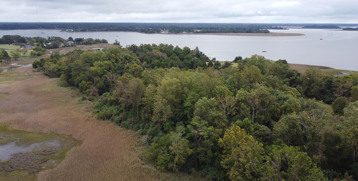 An aerial view of trees and grasses next to the water