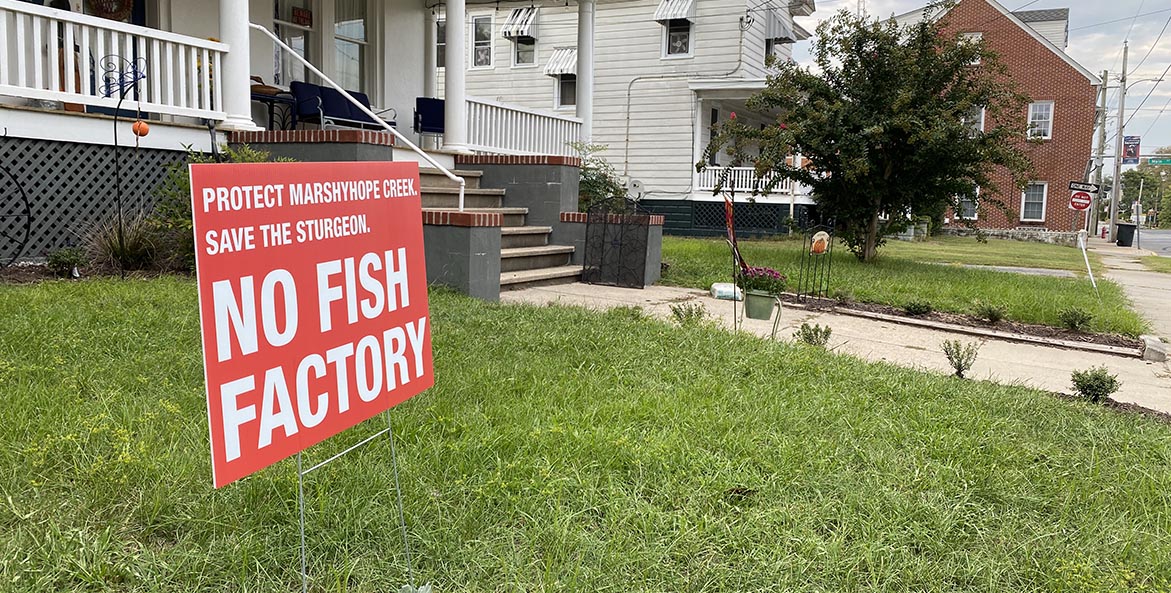 MD_ A 'no fish factory' sign outside a house in the Town of Federalsburg Credit- Andrew Metcalf - CBF_1171x593