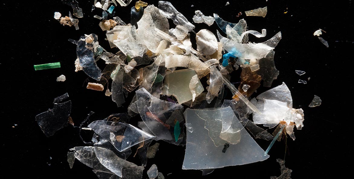 Microplastics in the Magothy River WillParson 1171x593