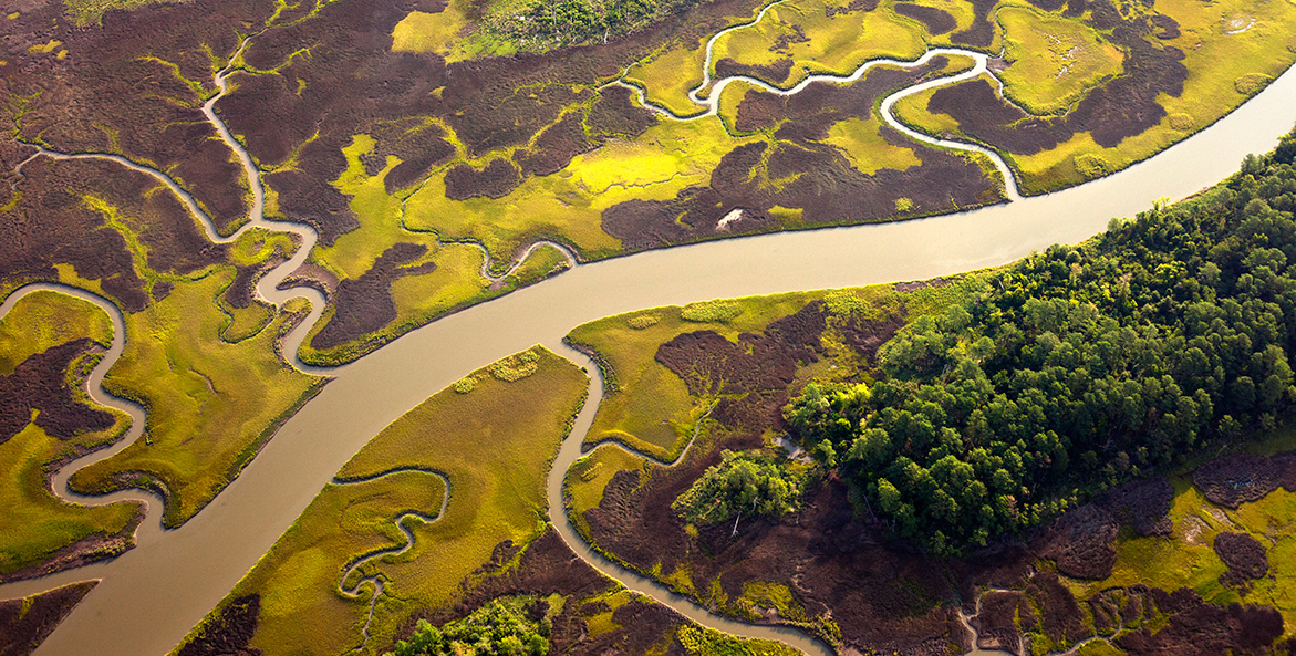 Nansemond River MorganHeimiLCP 1171x593