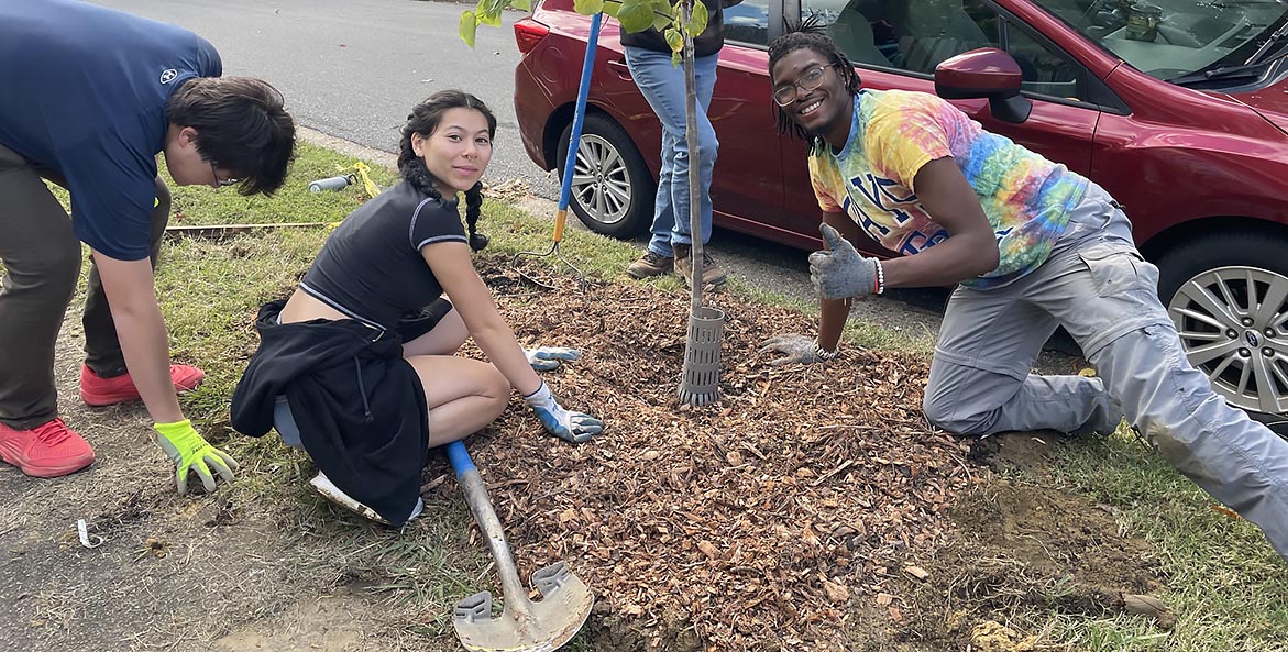 Four people finish planting a tree next to a road.