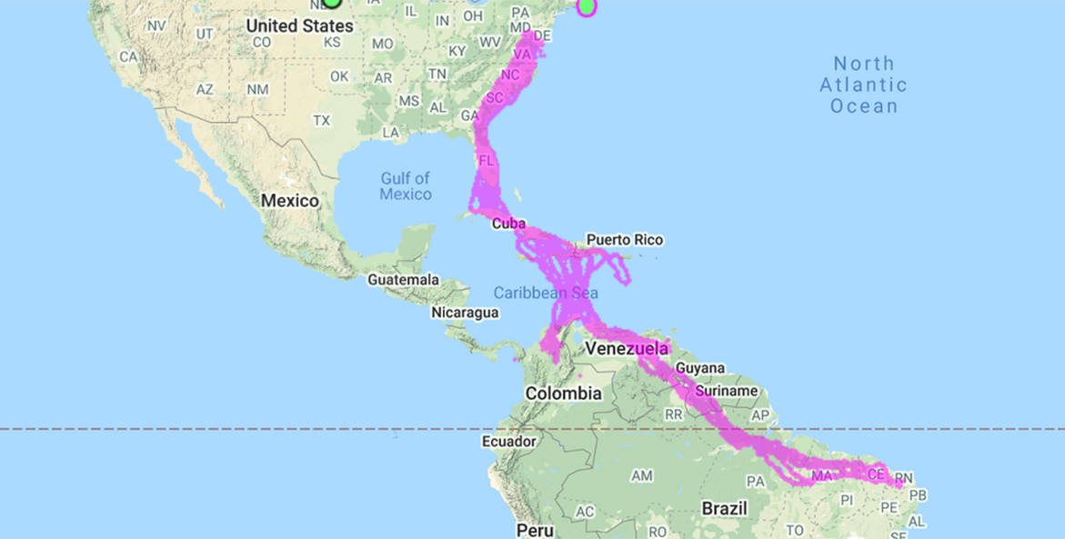 Osprey Tracking Maps Chesapeake Bay Foundation