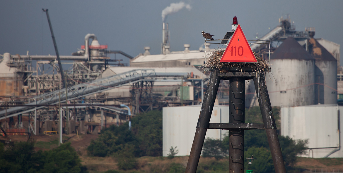 osprey-overlooks-chemical-plant_KristaSchlyer/iLCP_1171x593