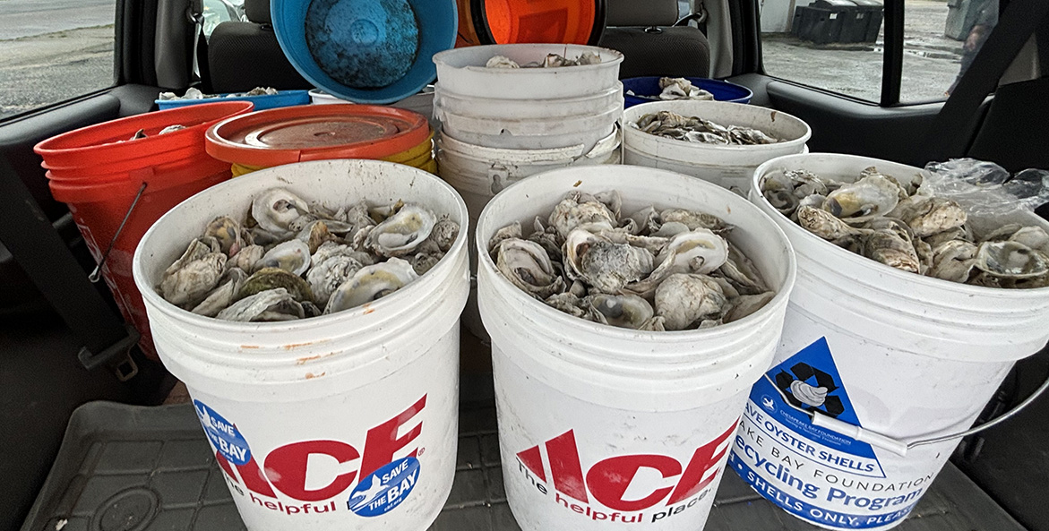 Buckets full of oyster shells in the trunk of a car