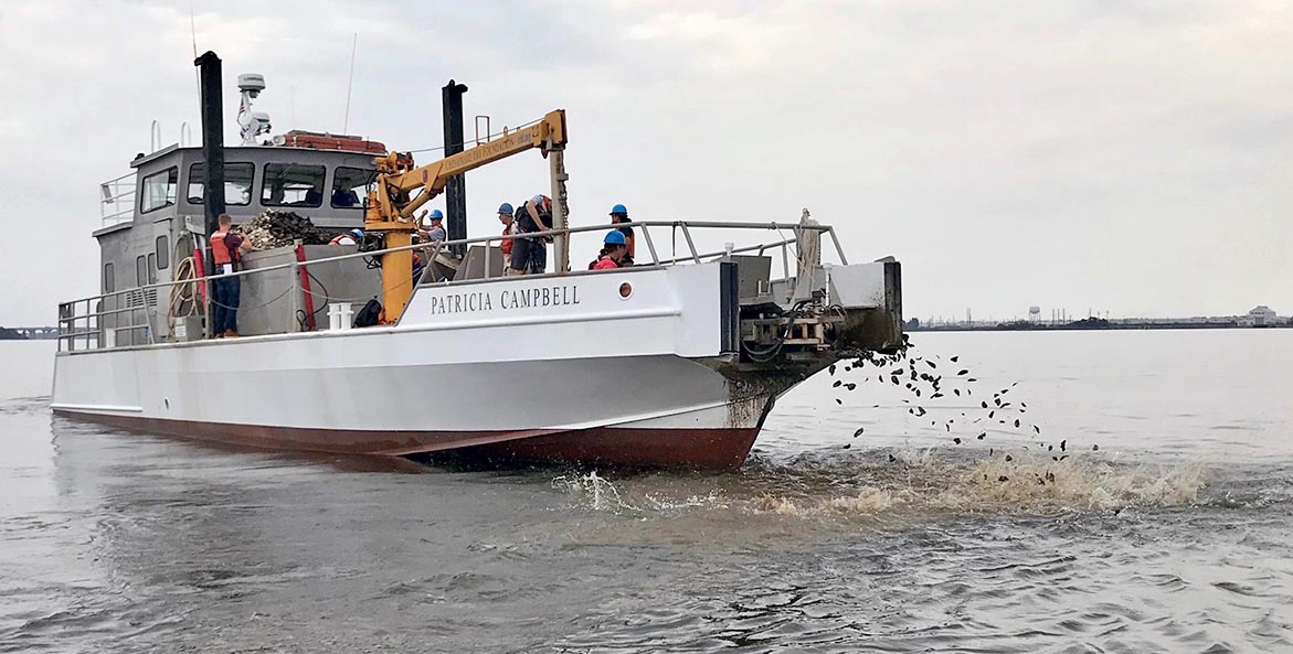 A conveyor belt flings oyster shells into the water from the bow of the Patricia Campbell.