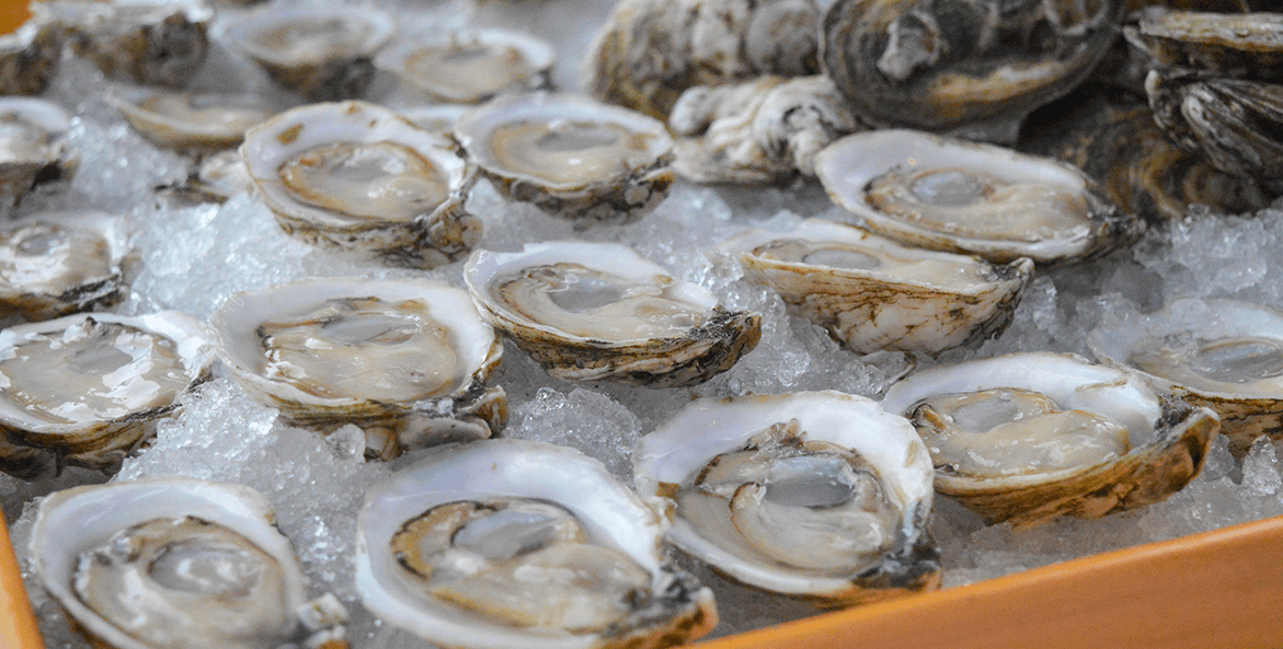 oysters half shell-rebecca long-1171x593