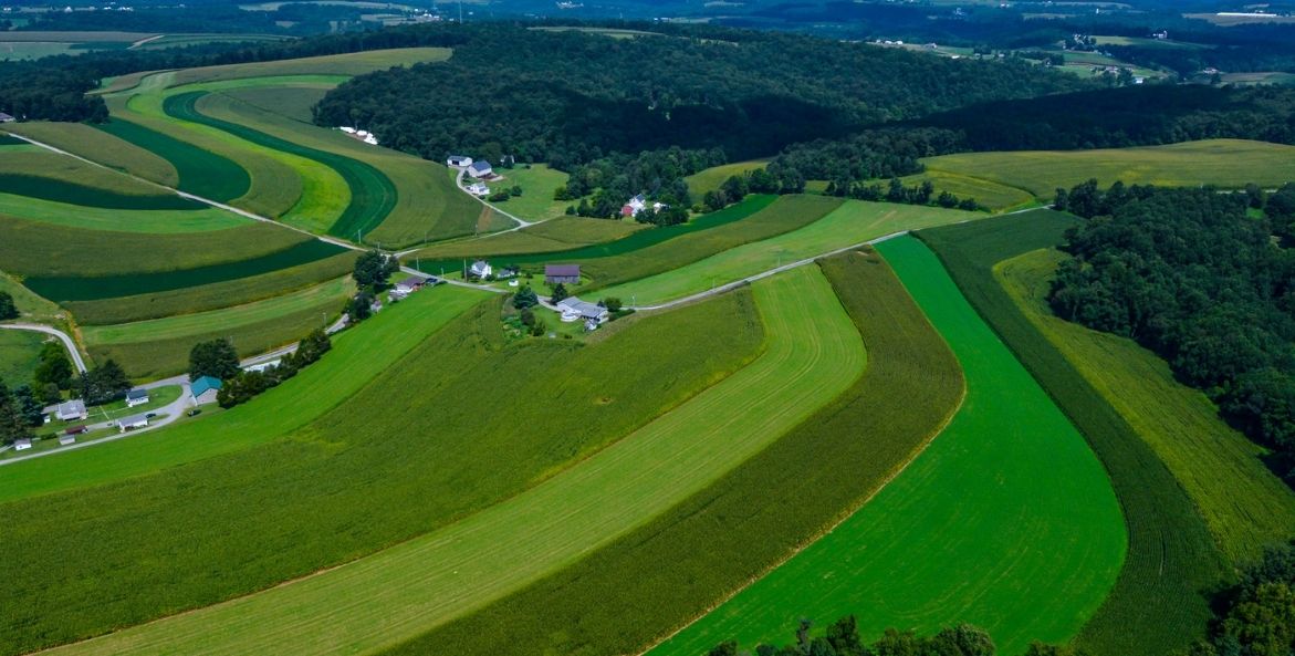 Aerial view of farmland with different colored crop fields and trees in the background