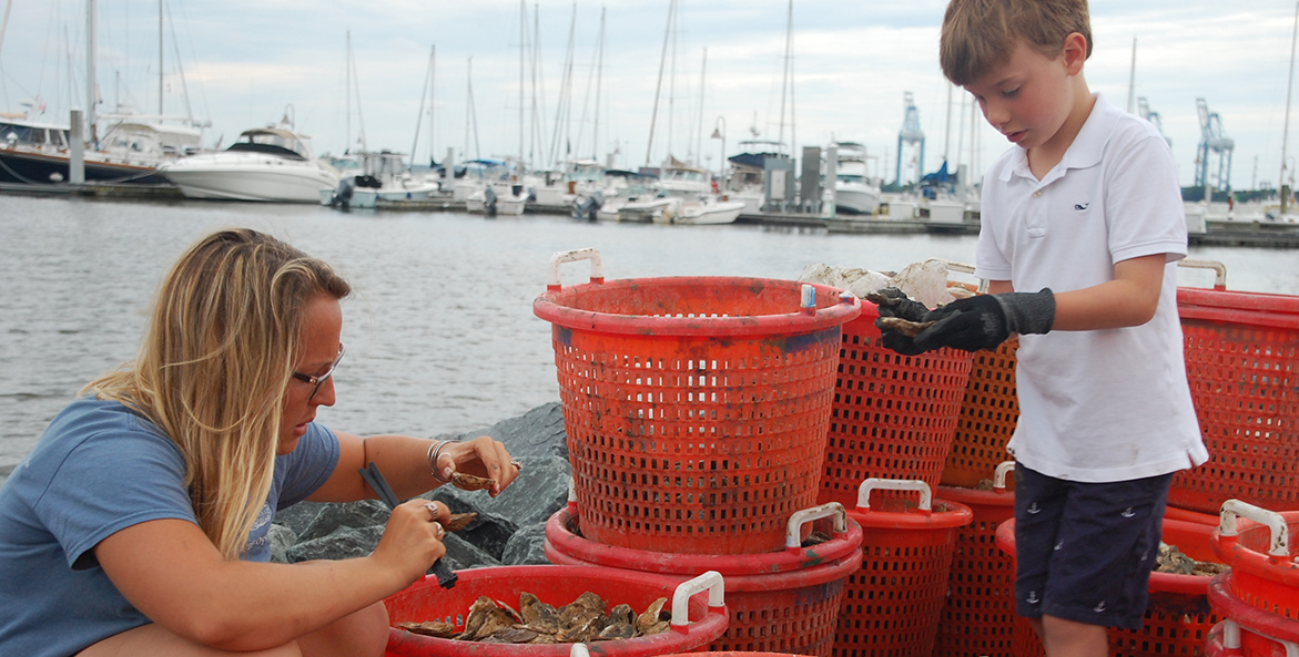 An adult and a child pick oyster spat from baskets on a dock
