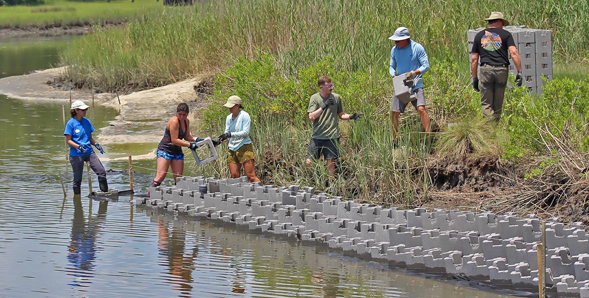 Volunteers pass concrete forms down a hill to the water line, stacking them atop each other to create oyster castles.