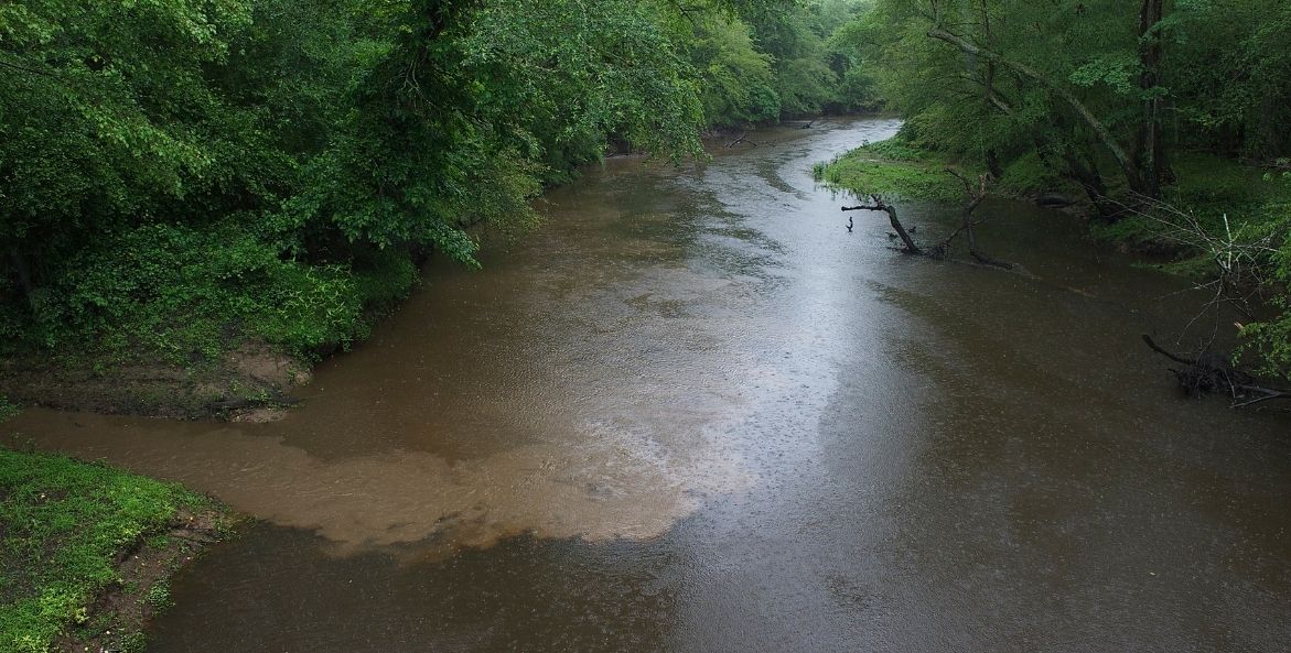 Polluted runoff flows into a stream with green trees on either side.
