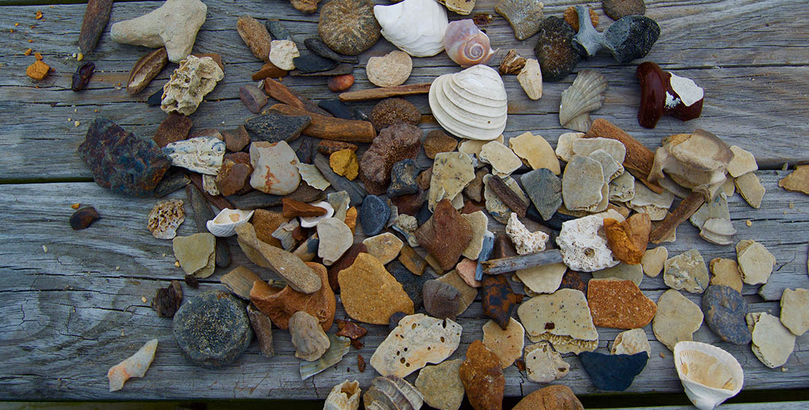 Shells, rocks, driftwood pieces piled on wood slats.