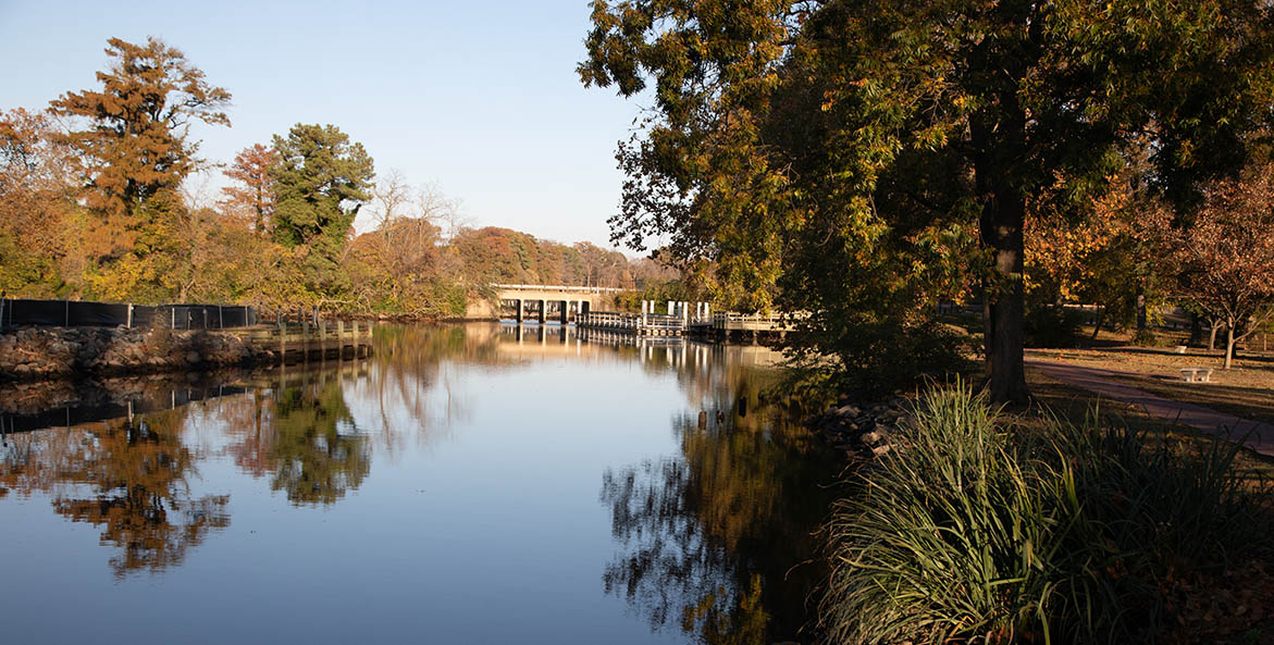 A bridge over a stream.