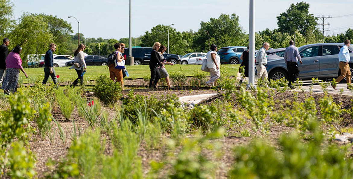 A group of people walking among plants.