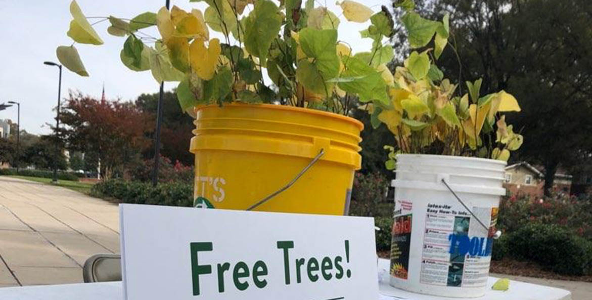 Richmond Tree Committee_Free Trees Sign_Daniel-Klein