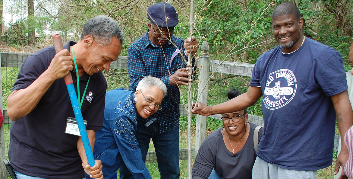 Five men and women help plant a tree.