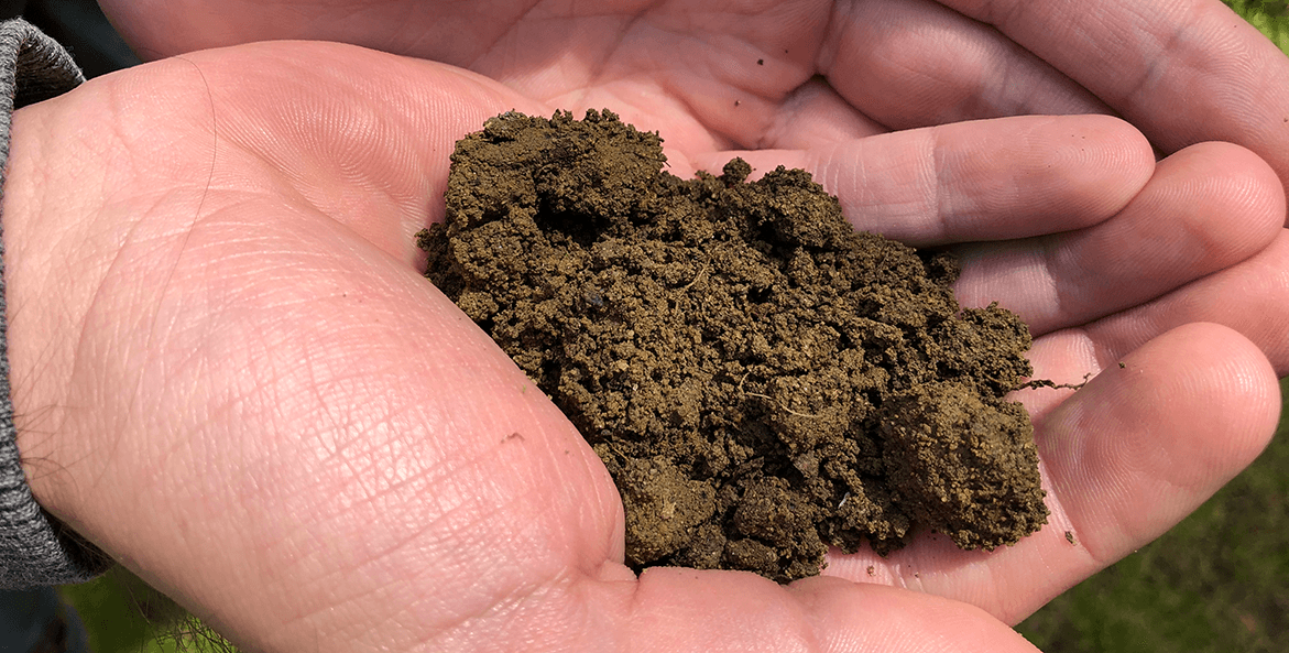 A hand hold a small pile of soil.