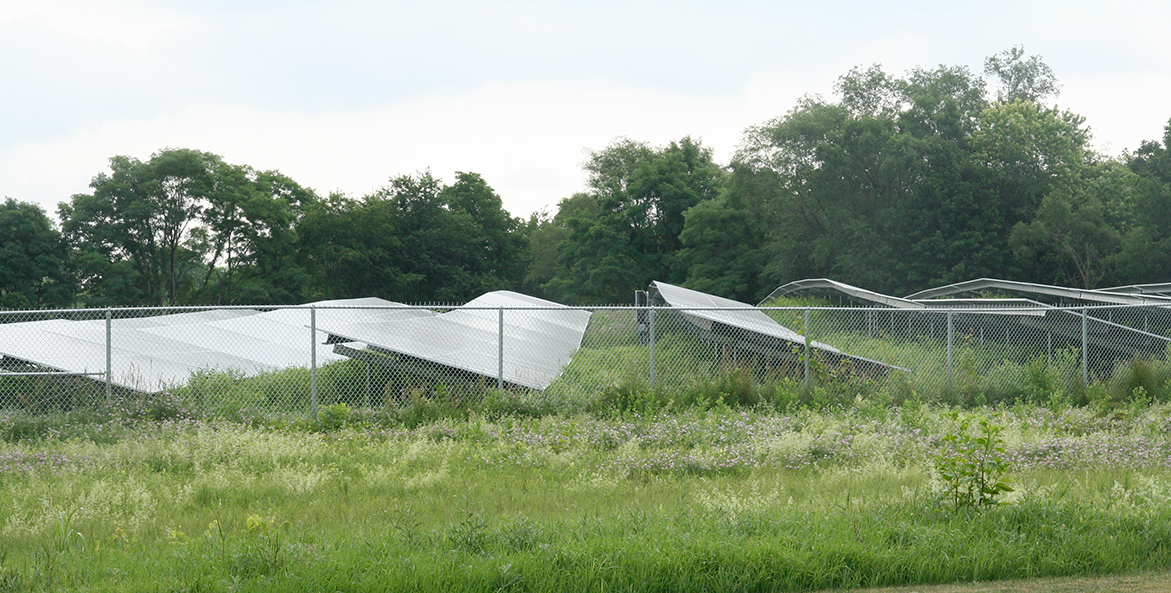 Solar panels in a field at GIANT's headquarters in Pennsylvania.