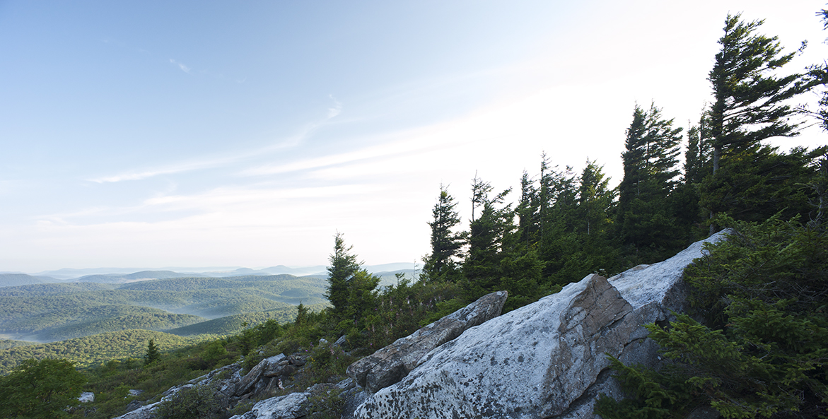 Sunrise over conifer forest and mountains.