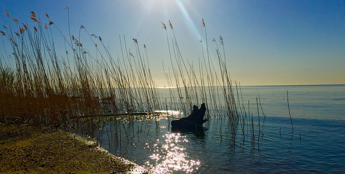 The noonday sun creates sparkles on the water.