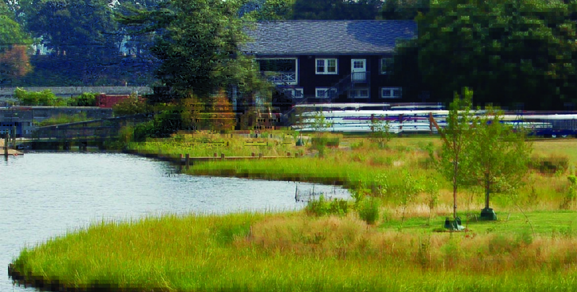 A living shoreline of marsh grasses borders a boat house, dock, and racked sculls.