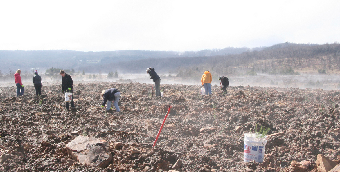 Students from Bryn Mawr College plant CBF trees on Abandoned Mine Land near Kittanning Creek.