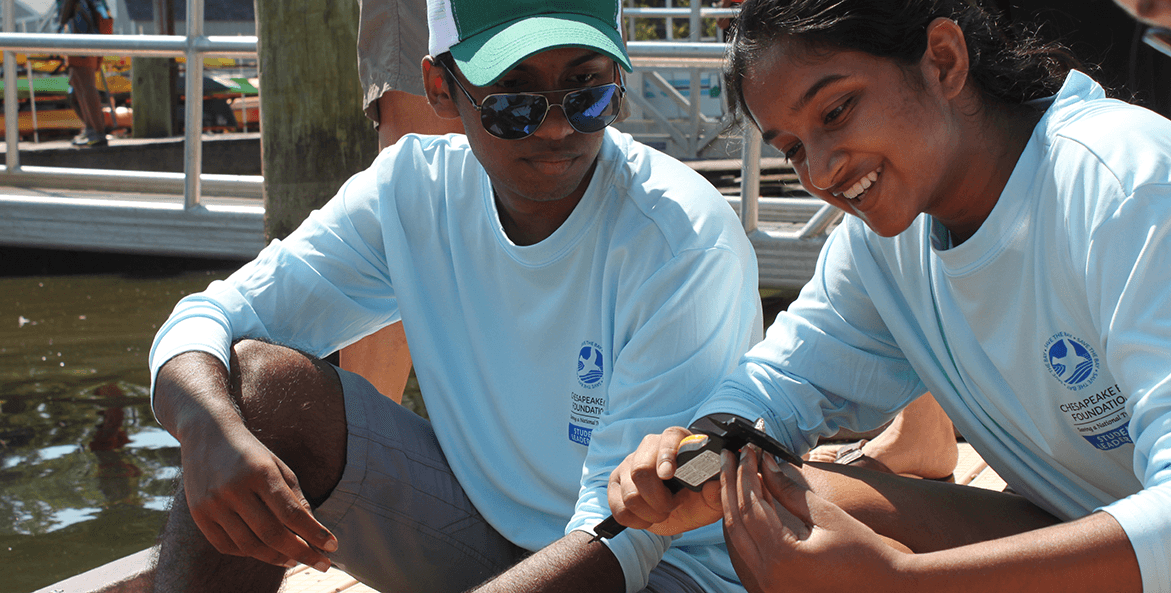 students measuring mussels-Codi Yeager-1171x593