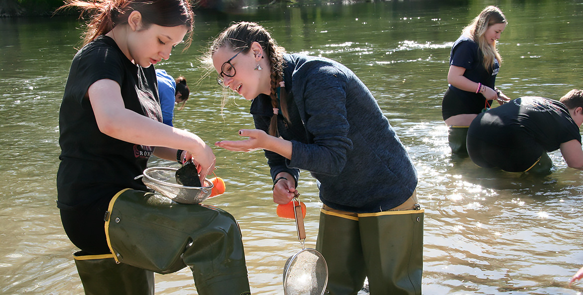 Students wearing hipwaders stand in a stream, examining items in a sieve.
