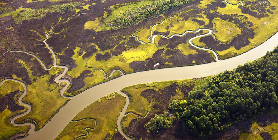 Streams ramble like arteries through wetlands of varying shades of green and brown.