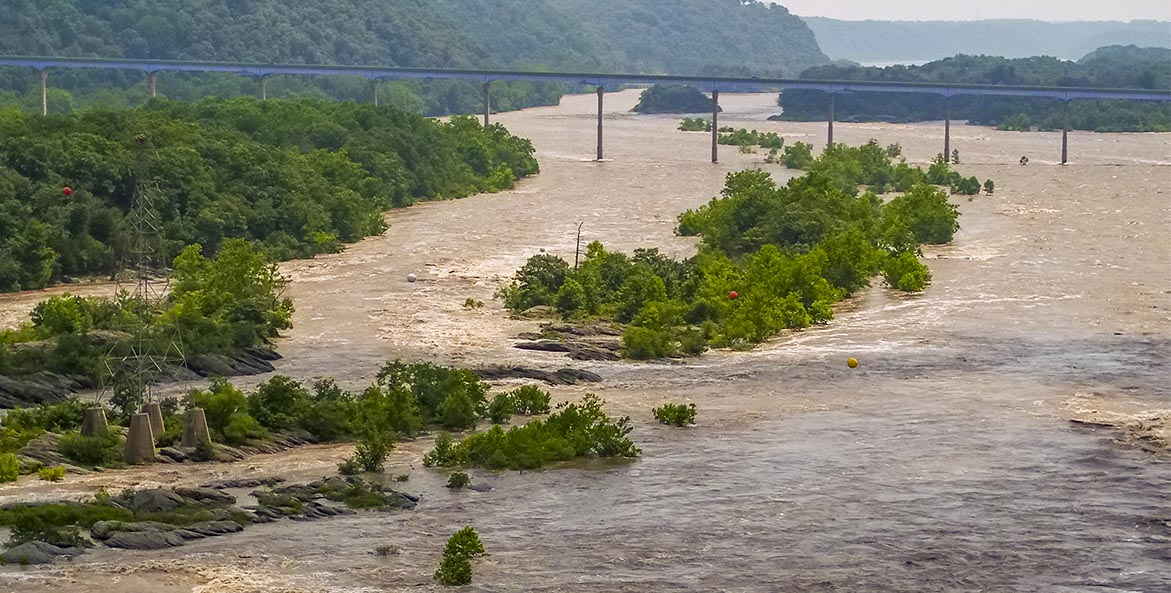 A muddy river rushes over partially submerged trees and islands and flows under a railroad bridge.