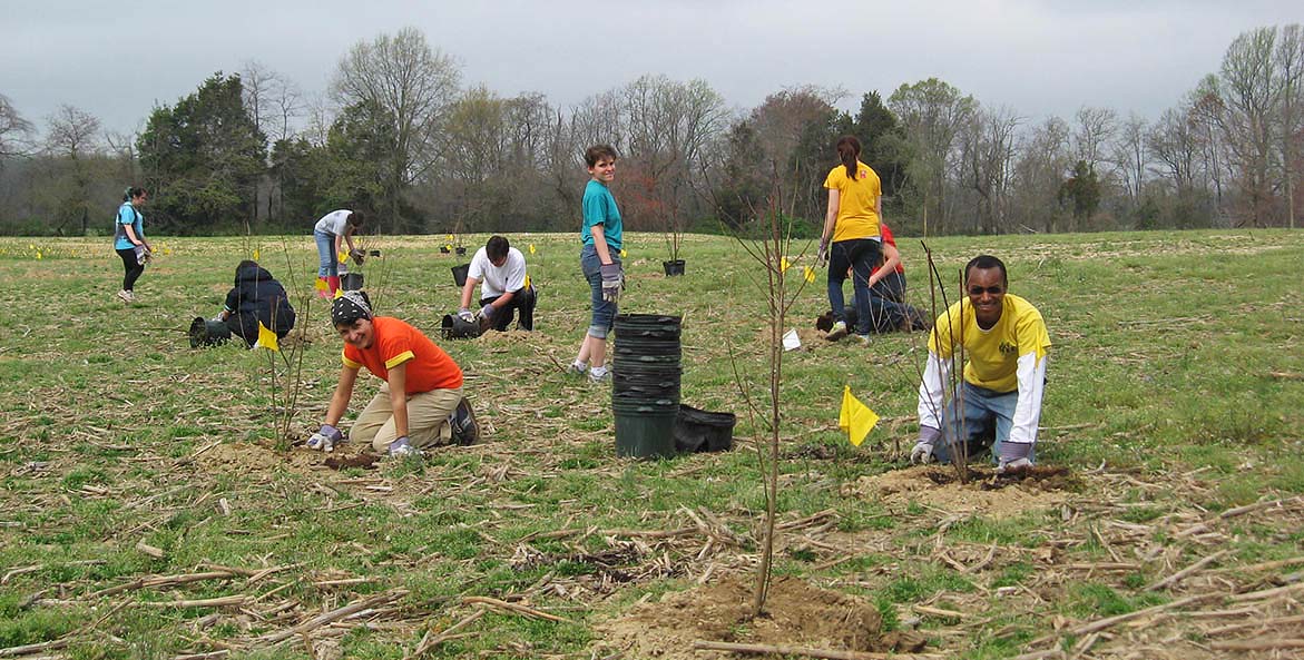 talbot-co-tree-planting_03242012_1171x593.jpg