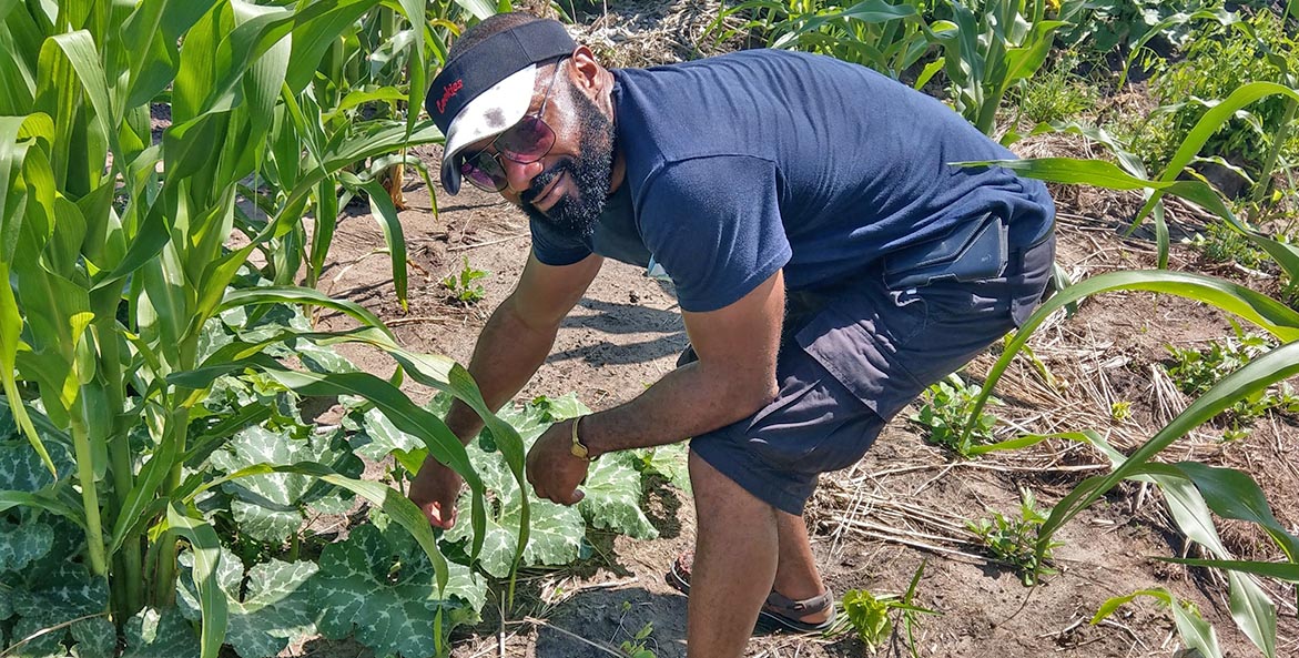 A Black man leans down to check vegetable plants.