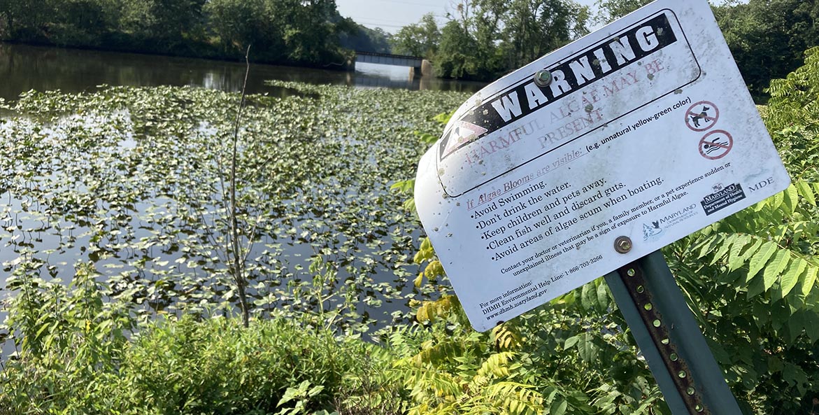 A sign warning Harmful Algae May Be Present sits in front of a waterway.