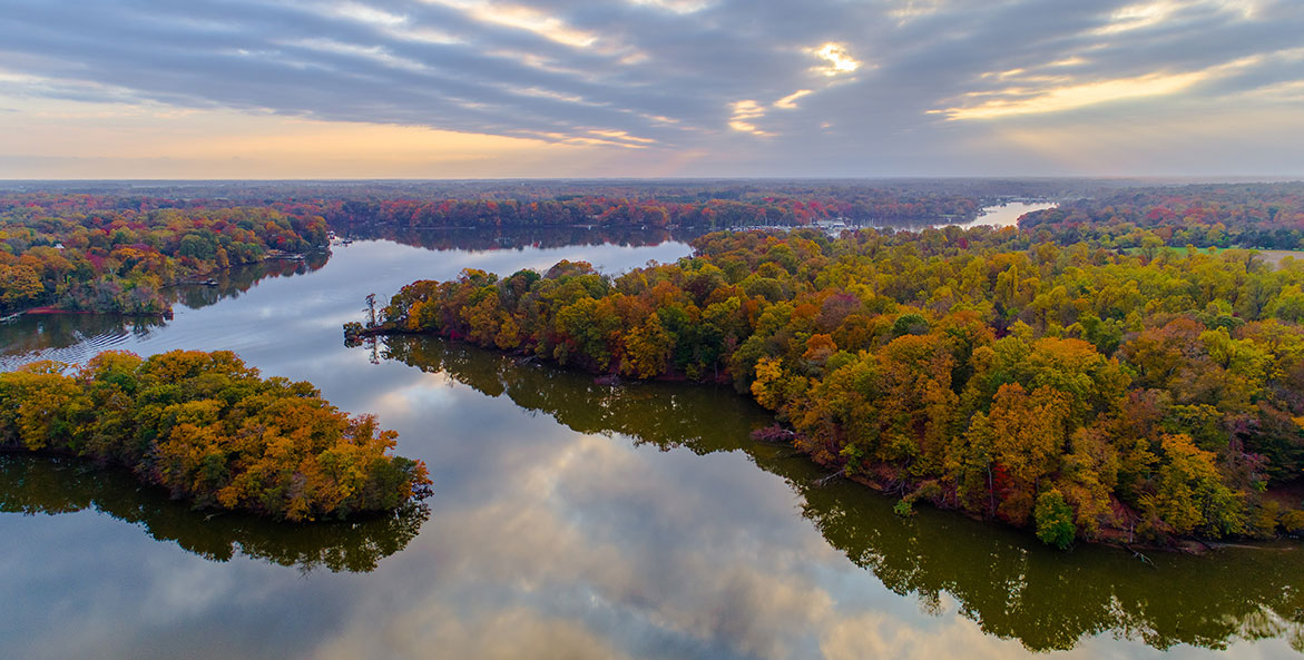 Aerial view of tree canopy and river