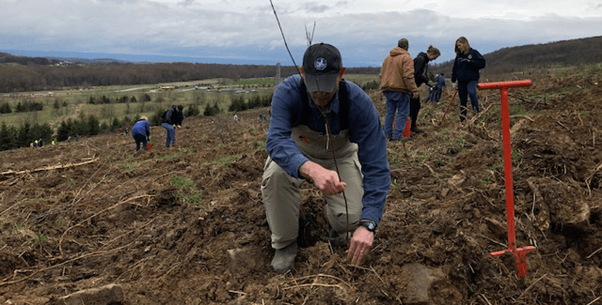 tree planting near flight 93 CBF 1171x593