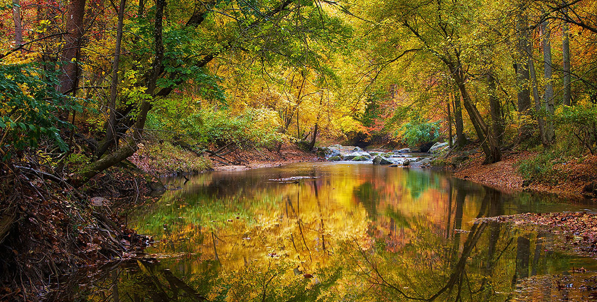 Reflection of trees in Maryland's Middle Patuxent River