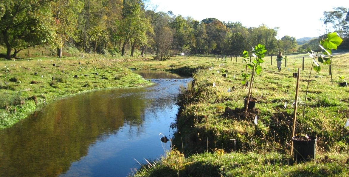 Trees to be planted by stream - CBF Staff - 1171x593