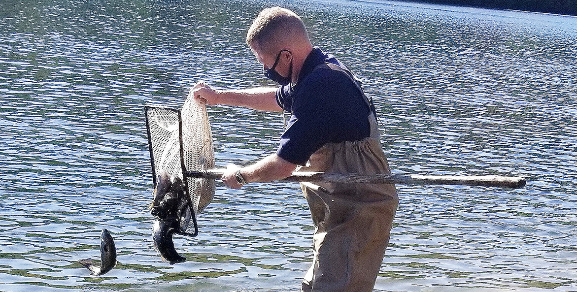 Man releasing fish from a net back into a river.