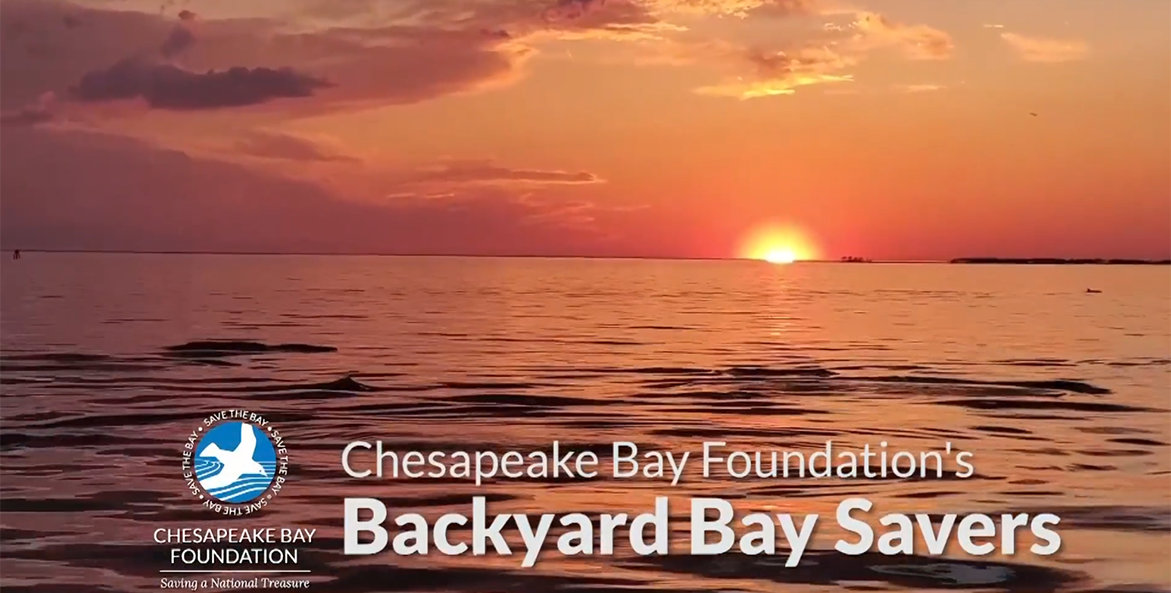 CBF's Backyard Bay Savers