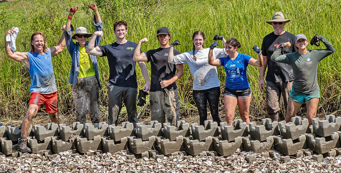 A line of volunteers flanks a newly created living shoreline, arms raised in victory.