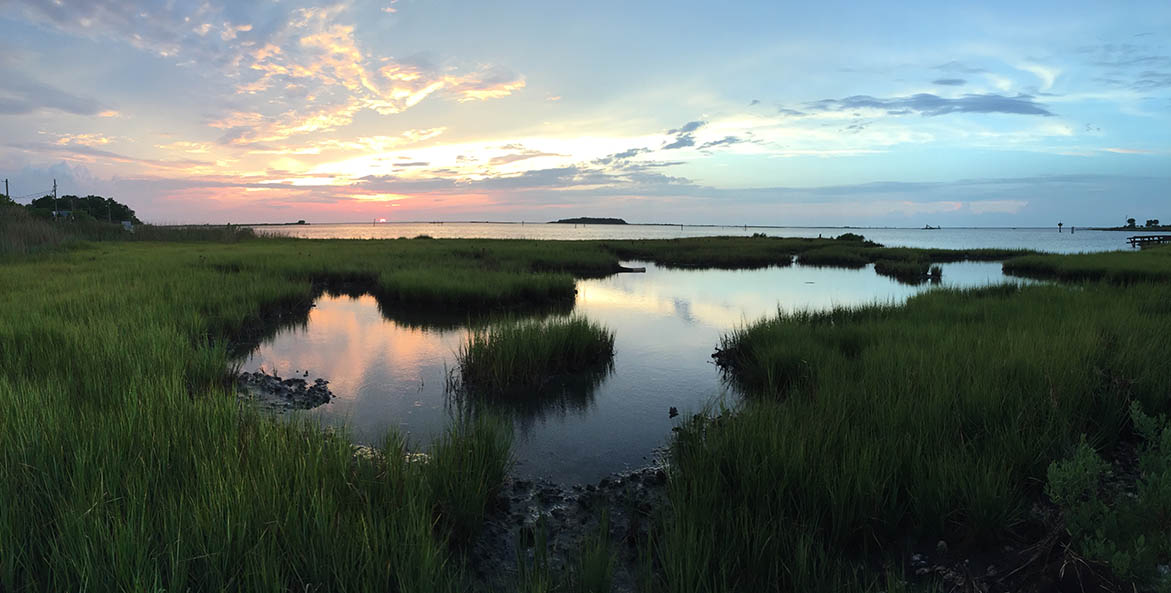A pink and blue sky reflects off the water at the edge of one of the Bay's many wetlands.